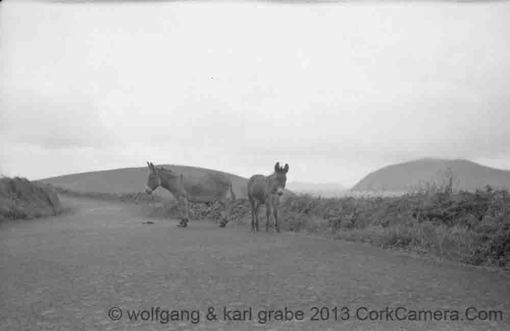 nBW120wg 013 008 kerry nr blaskets