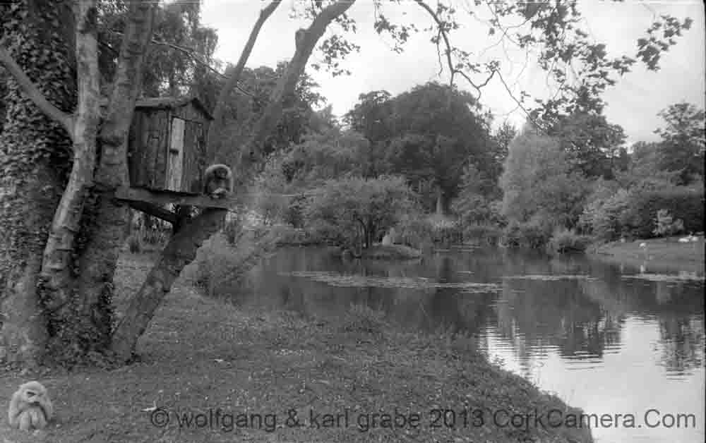 nBW35wg 005 27 dublin zoo 1958
