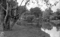 nBW35wg 005 27 dublin zoo 1958