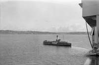 nBWwg 004 060 america poss cork