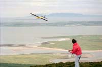 nC35wg 012 17 rc glider poss kerry DG