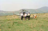 nC35wg 012 37 Alouette III Dunquin kerry