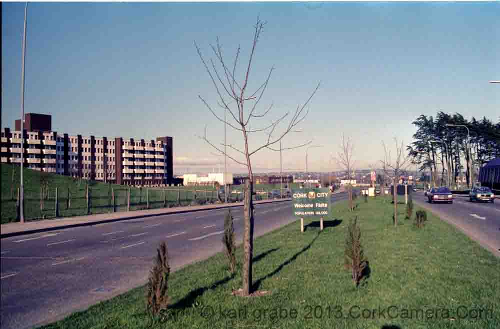 n01kg10Wilton