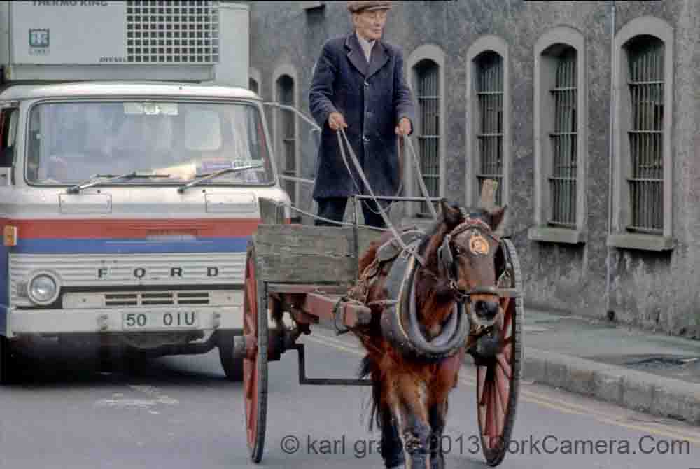 s03kg Horse Cork 1980s