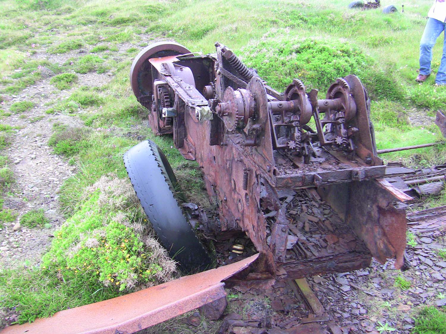 m IMG_3634