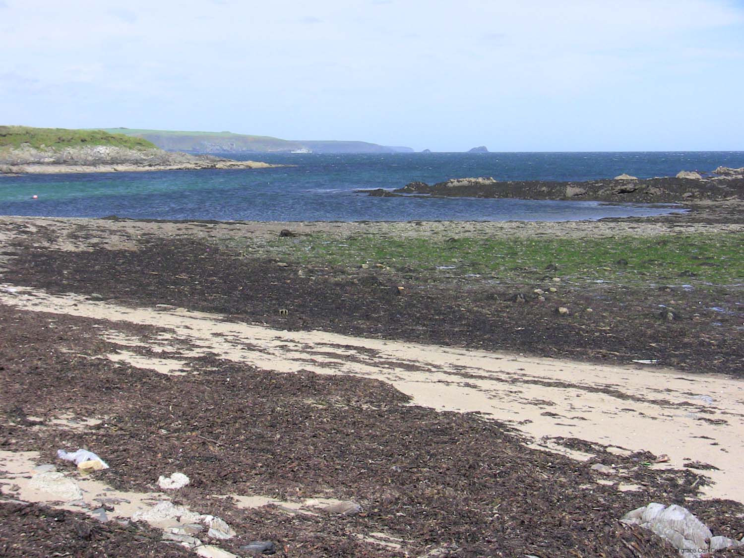 IMG_3478