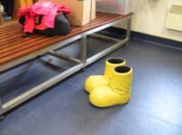 IMG_3795 fancy boots