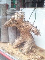 IMG_20130926_101705