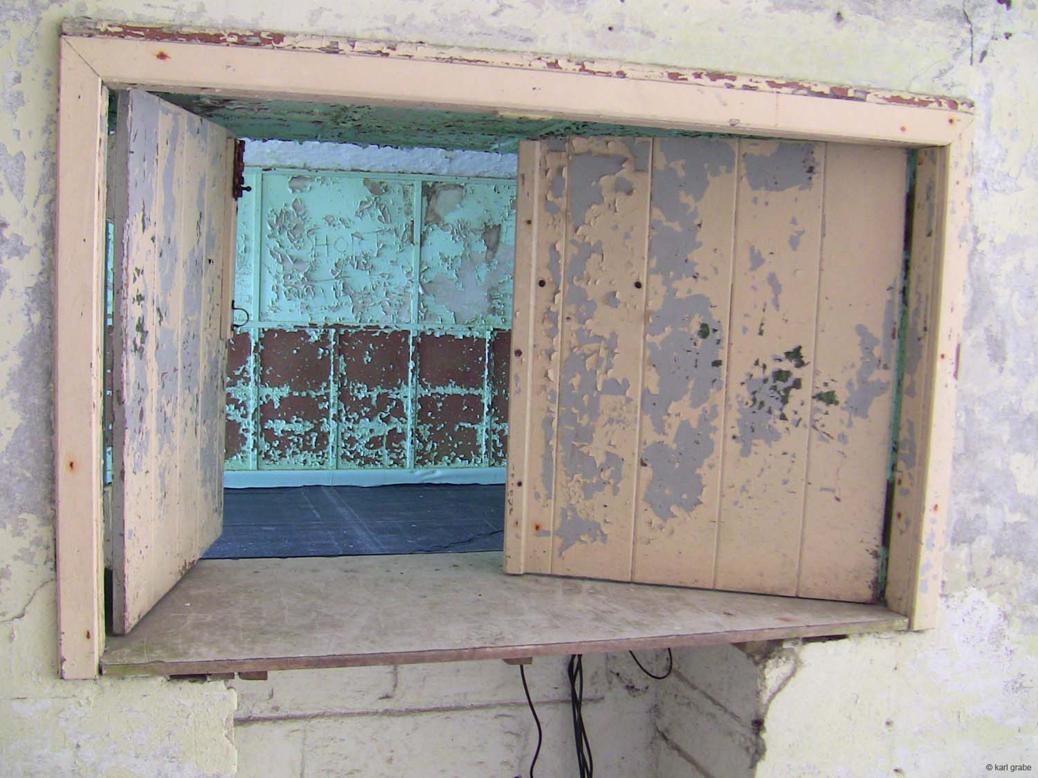 IMG_2875 dining doors