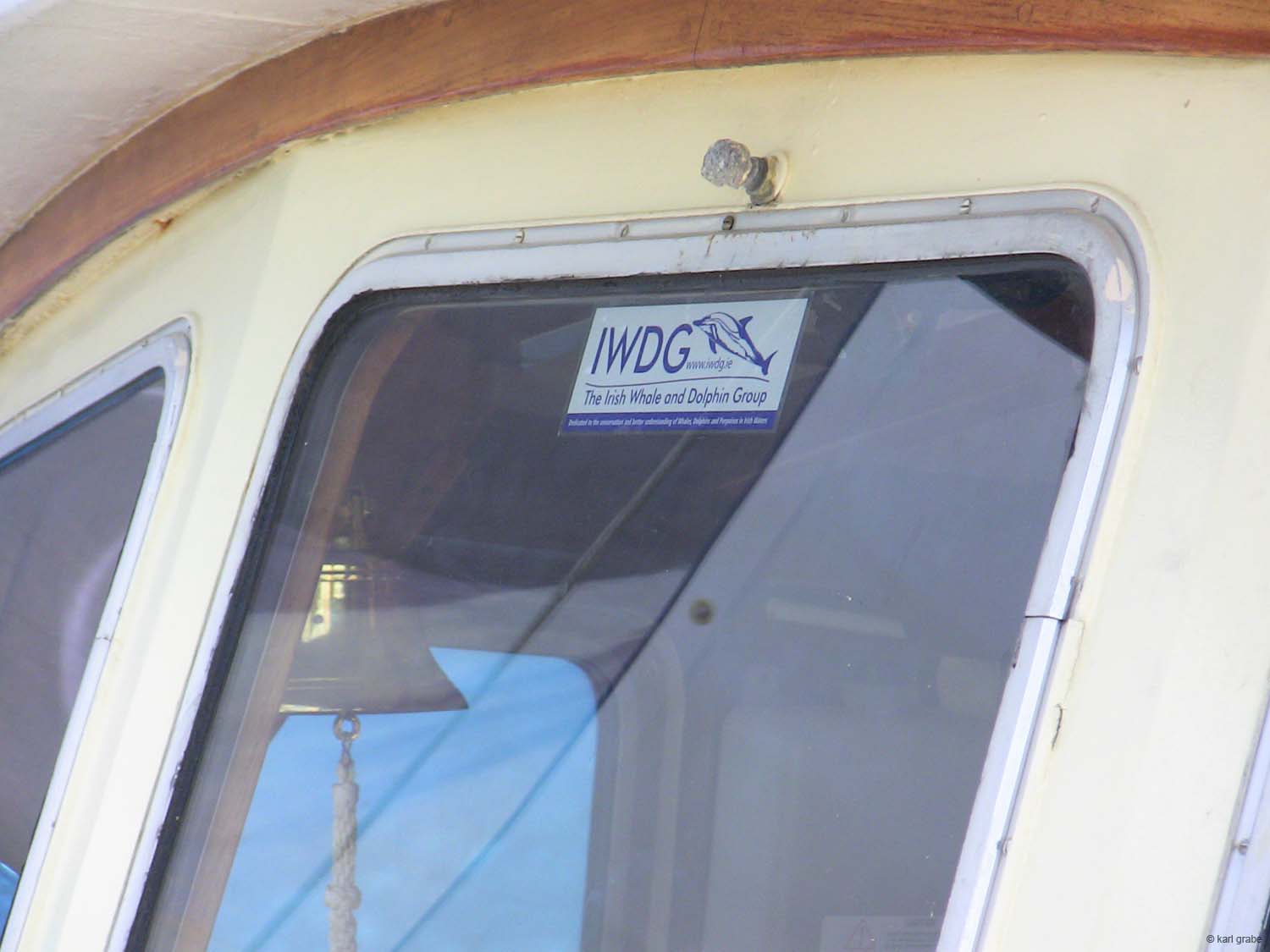 IMG_2798 IWDG sticker