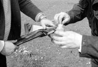 nBW35wg 014 26 control line plane