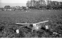 nBW35wg 025 26 WG plane