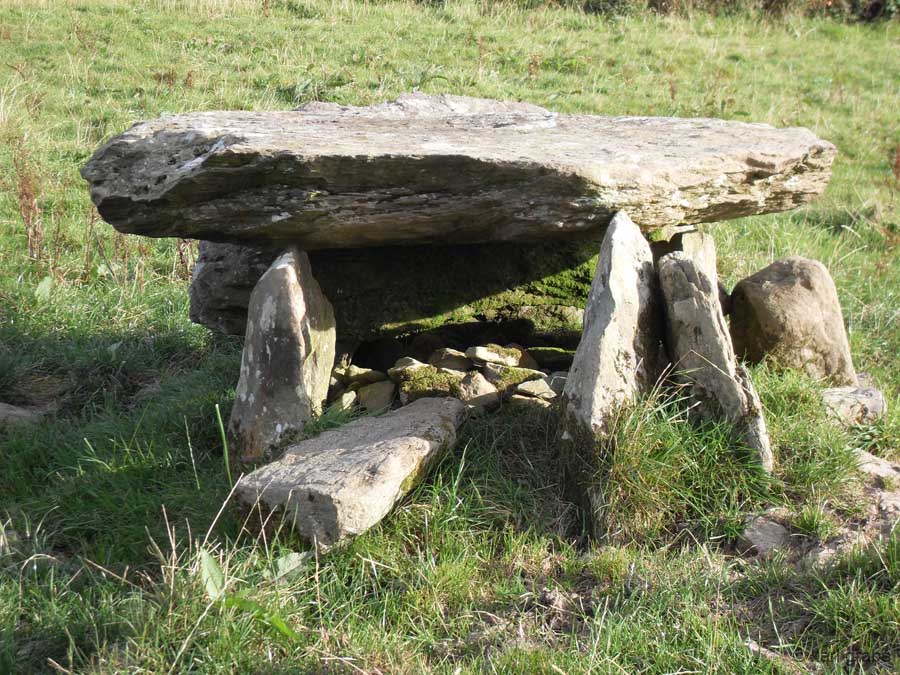 SDC10605 18minwalk N rylane