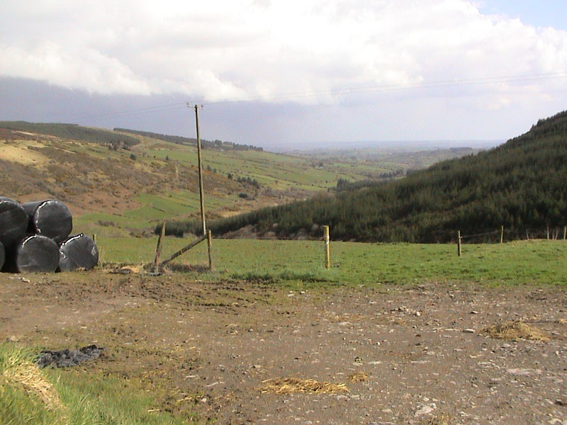 DSC00027