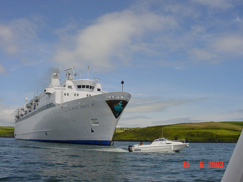 DSC00945 black prince kinsale