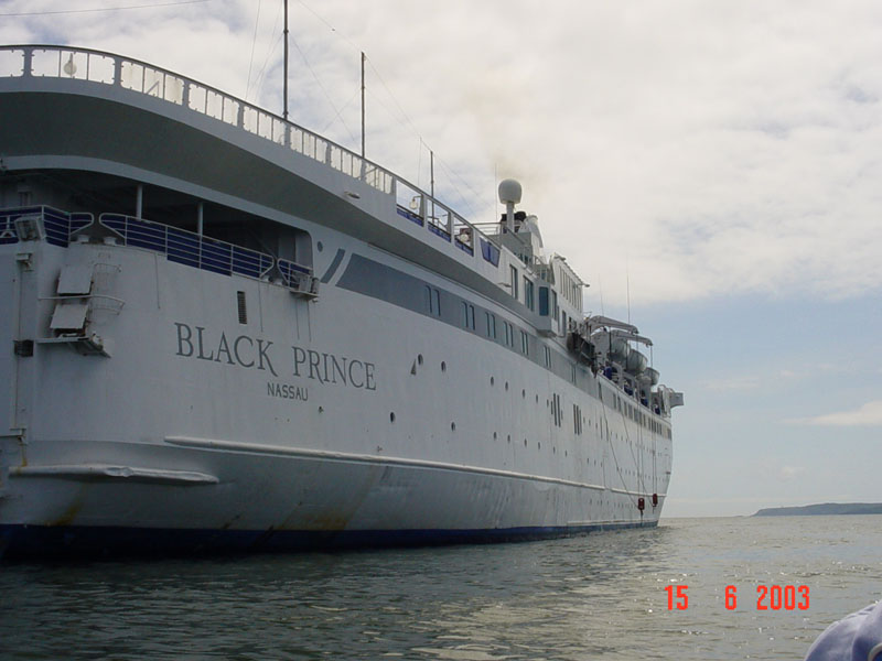 DSC00949  black prince kinsale