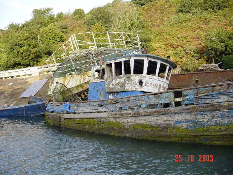 DSC01660 wreck bandon river