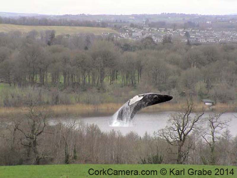 BlarneyLakeHB