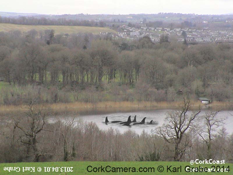 CorkCoast.Com BlarneyLake