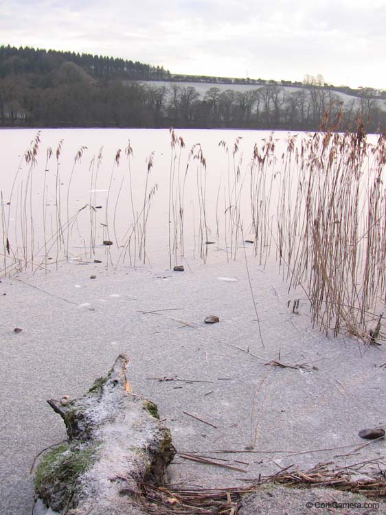 IMG_1961 frozen blarney lake