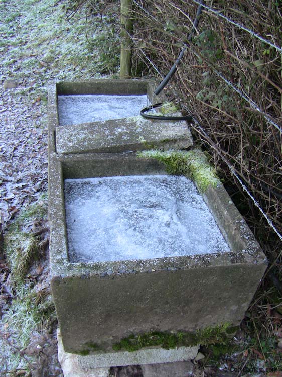 IMG_1965 near blarney lake