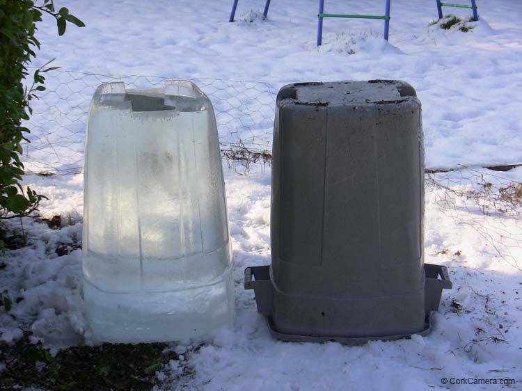 IMG_2010 frozen bin