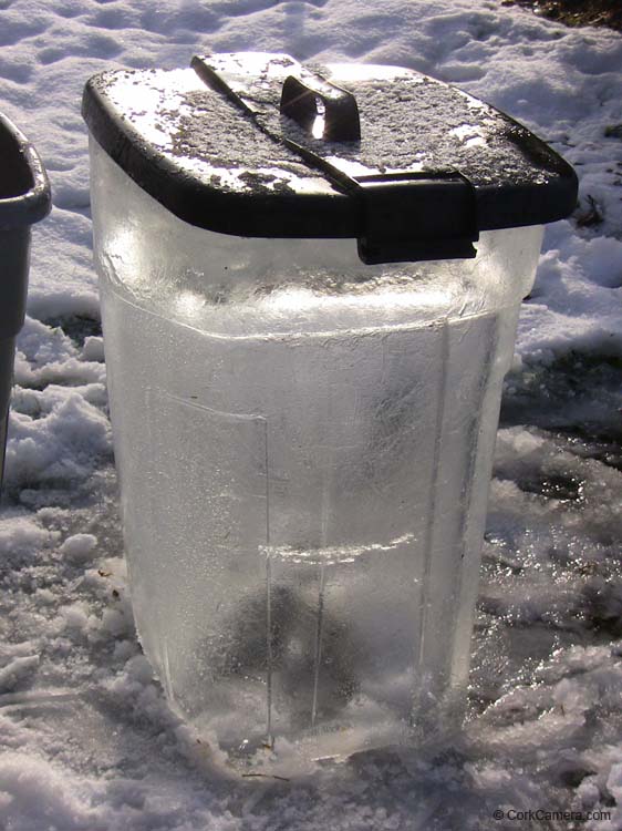 IMG_2022 frozen bin